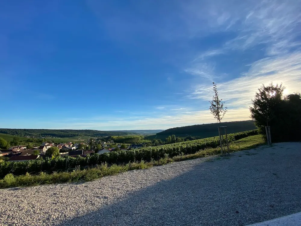 Aire pic nic en champagne