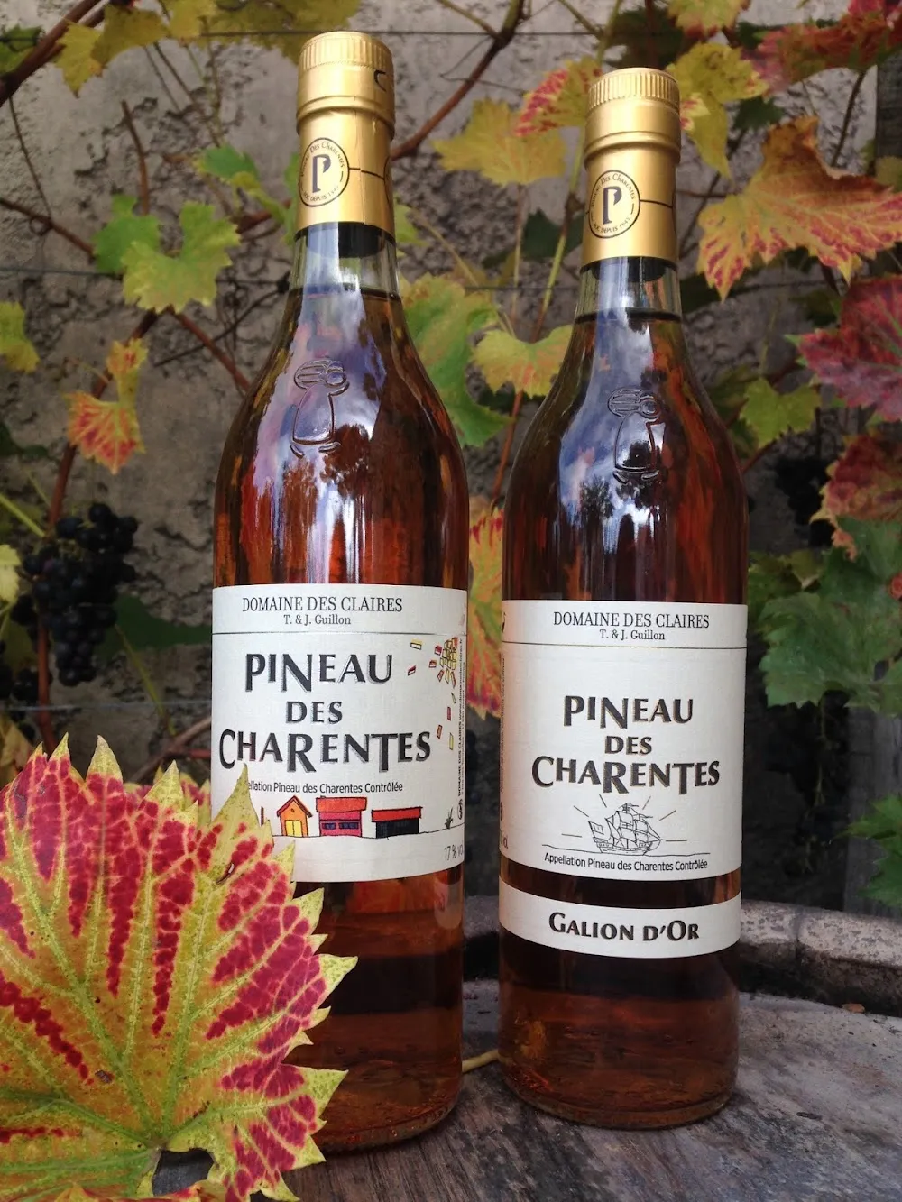 Domaine des claires