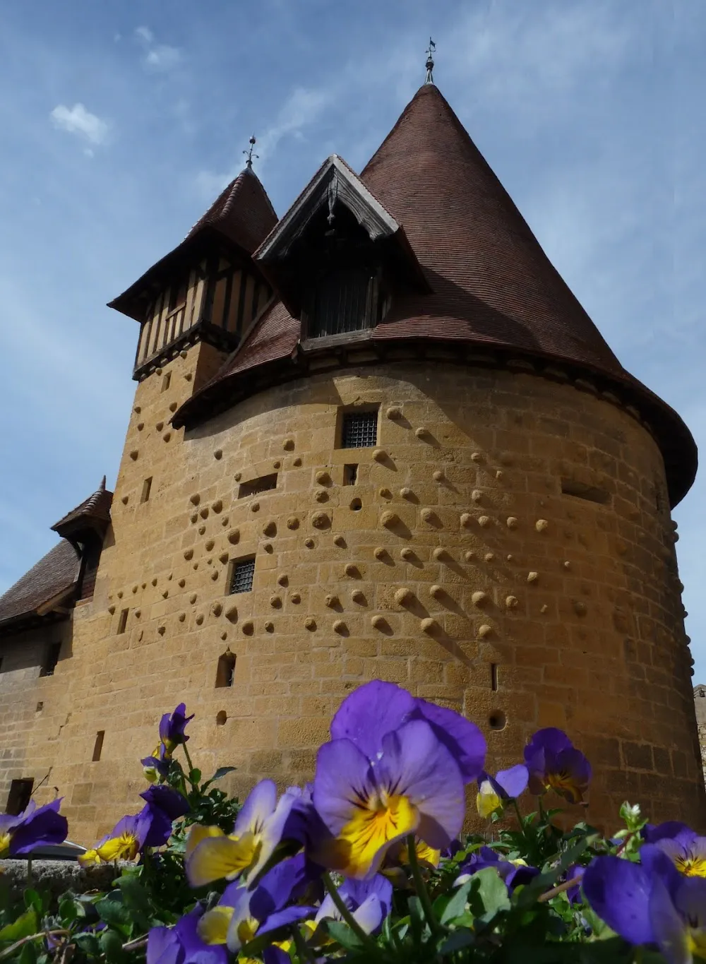 Musée de la Tour du Moulin