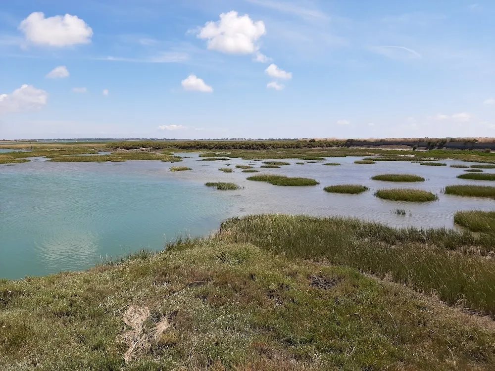 La Réserve naturelle nationale de Lilleau des Niges