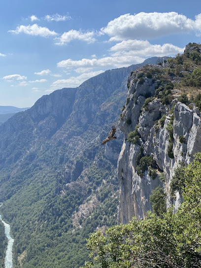 🏞️ Le Grand Canyon (Les Gorges du Verdon)