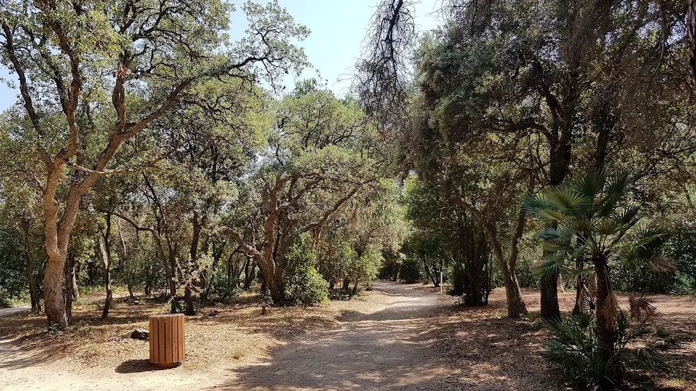 Parc Aréca