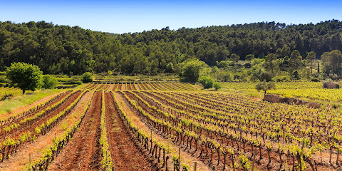 🍷 Domaine La Rose Trémière