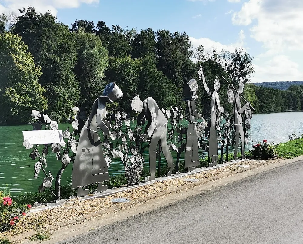 Jardin de vignes de Cumières