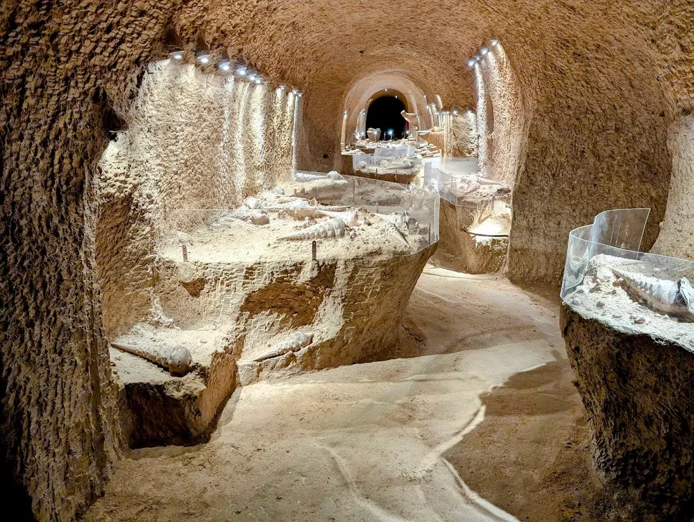 La Cave aux Coquillages