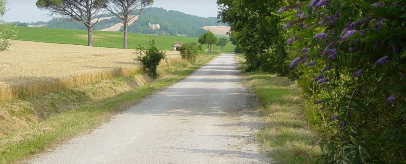 Voie verte Castres -Albi : Chemin des Droits de L'homme