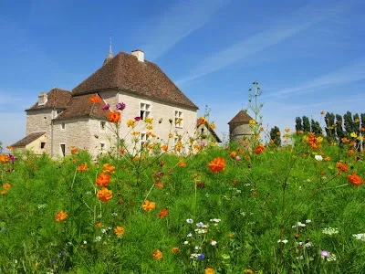 Le Manoir Equivocal