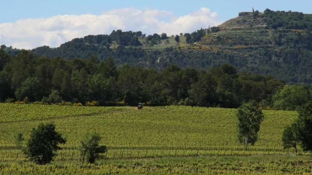 Château Paradis