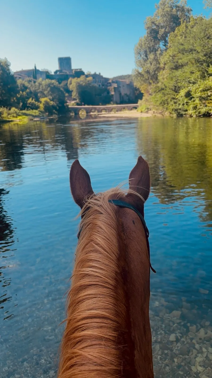 Terre a Cheval