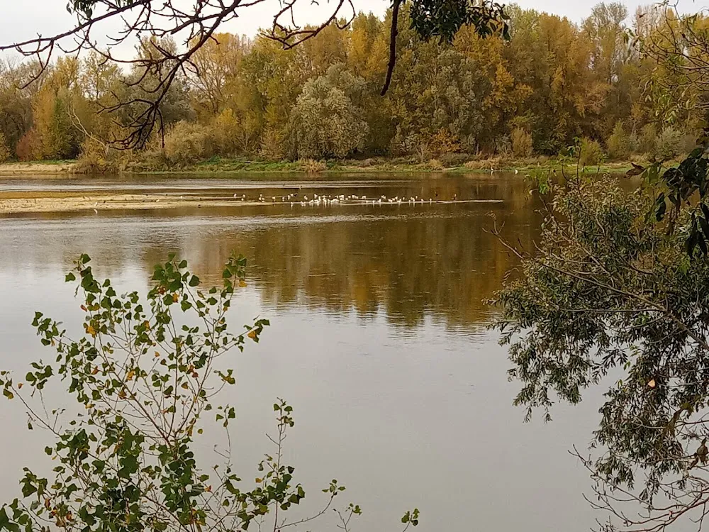 Etang de la Varenne sous Chandon