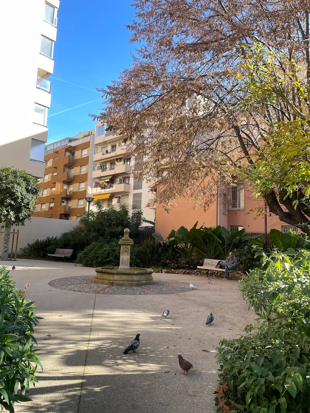 Jardin du Tilleul