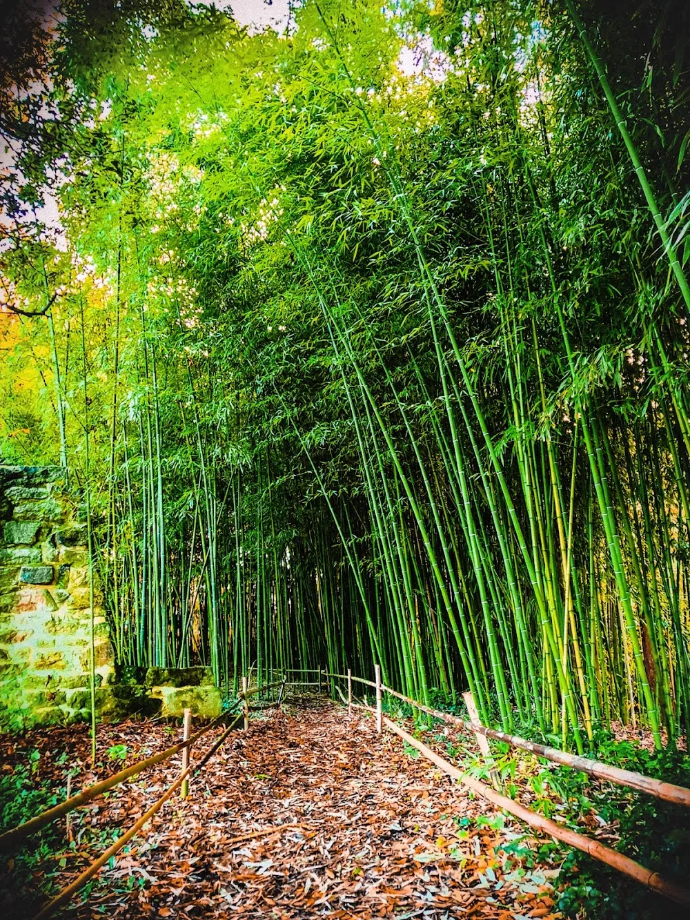 Jardin de la Garenne