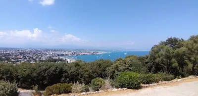 Sentier des Mimosas