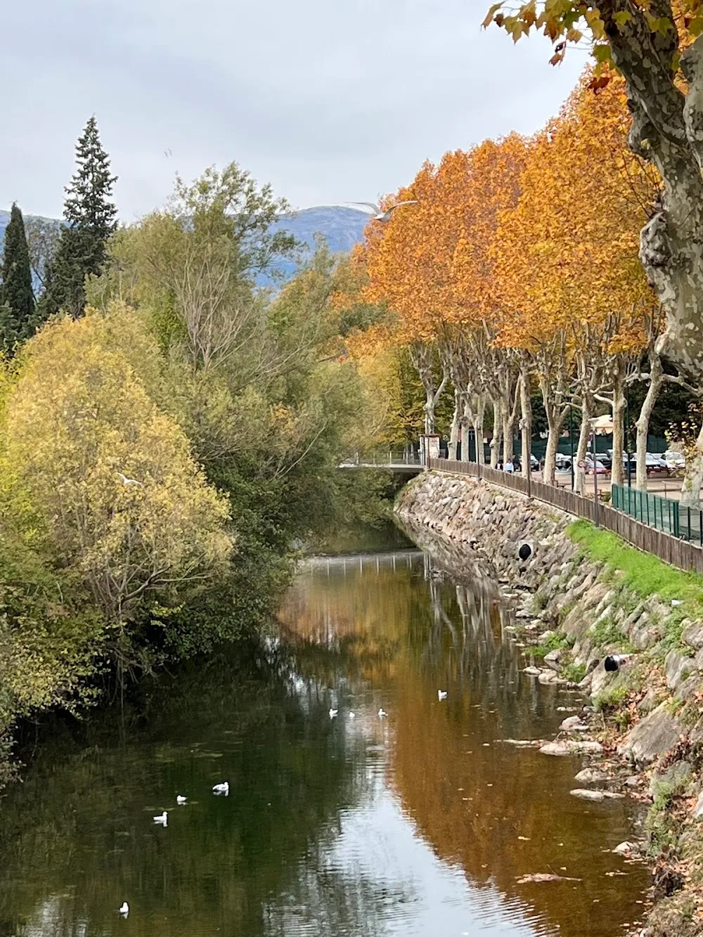 Rives du loup