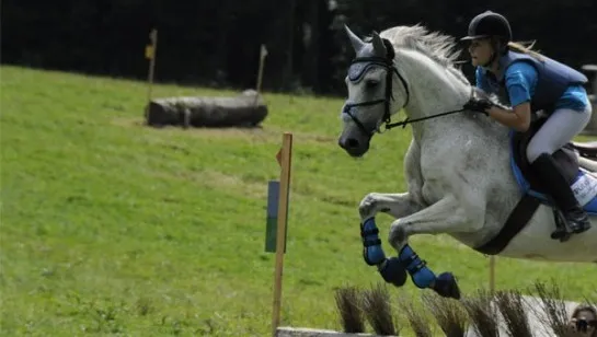EQUITATION RECULOTTE