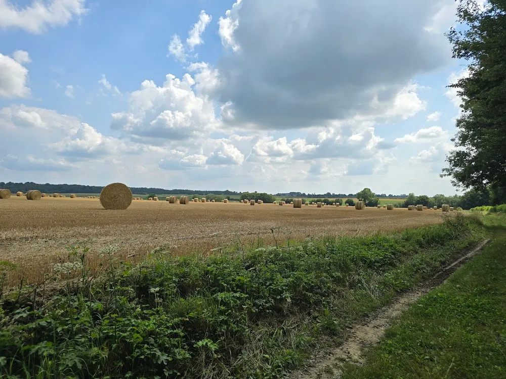 Circuit du Mont Dourlers