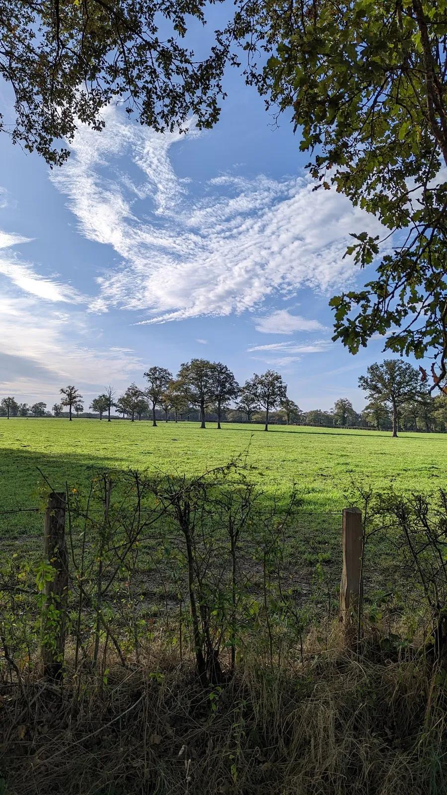 Ătang de Landes
