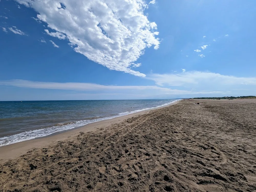 Plage de Portiragnes (chien admis)