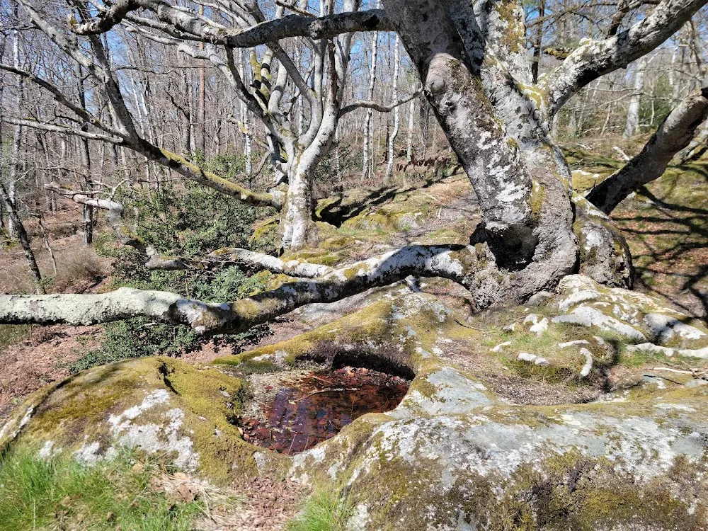 Rochers de Saint Julien