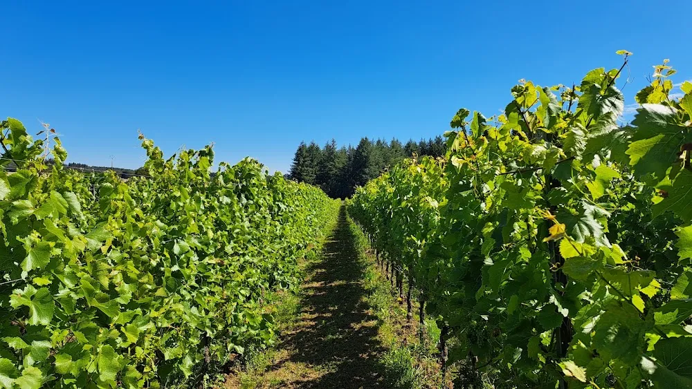 Domaine de Bellefontaine